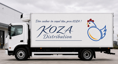 Angajez sofer cu permis categoria B in Bistrita